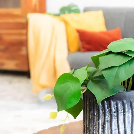 #57 Notre Dame Balcony & Ac * Νίκαια