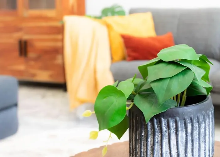 #57 Notre Dame Balcony & Ac * ניס